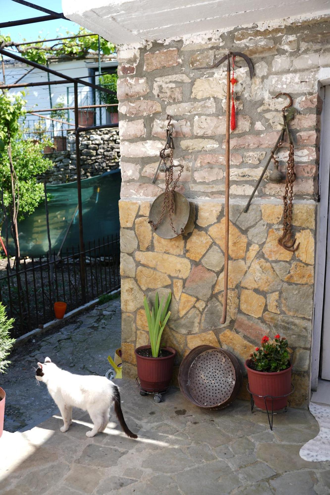 Guest House Denis Gjirokaster Ngoại thất bức ảnh