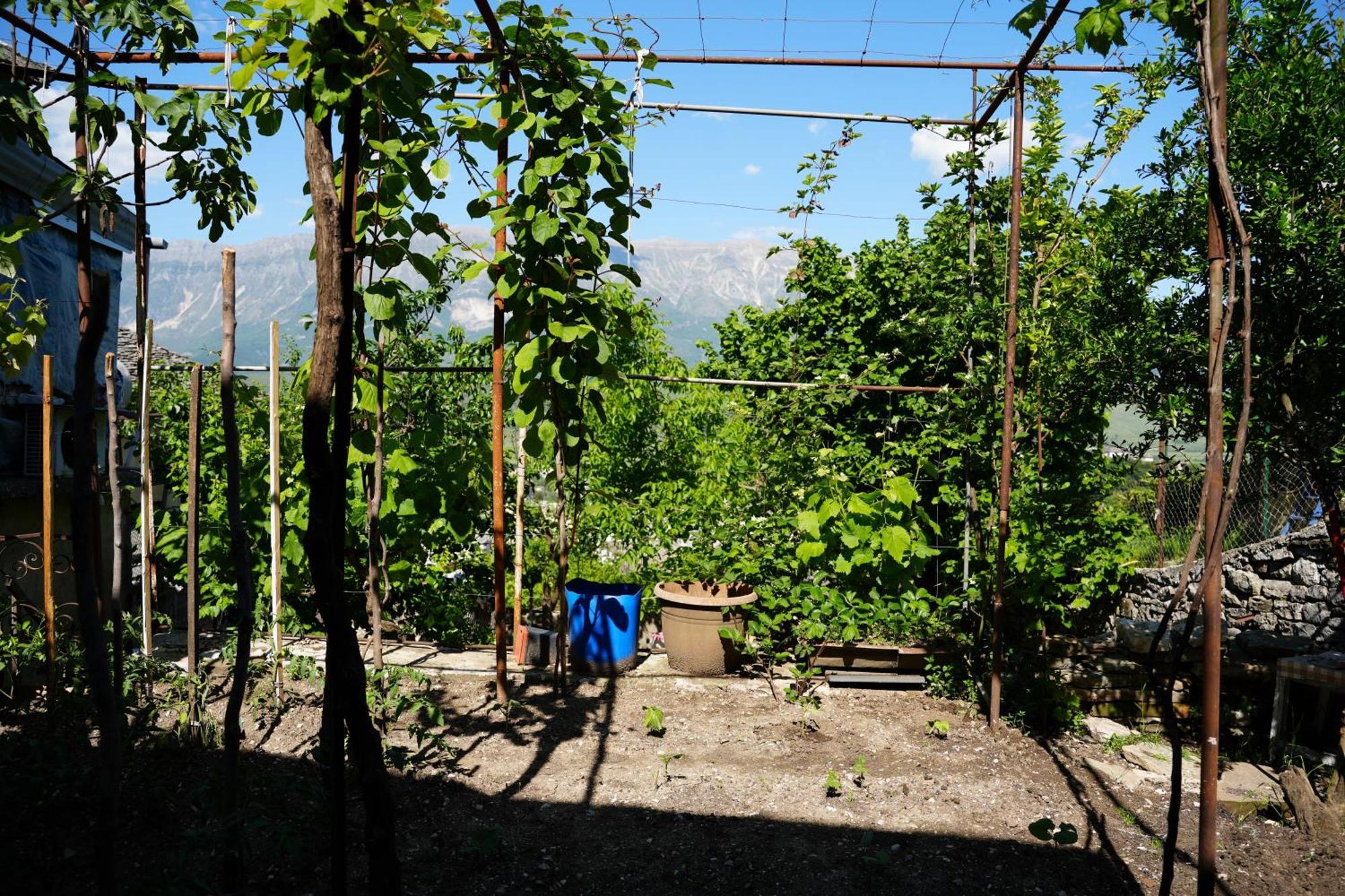 Guest House Denis Gjirokaster Ngoại thất bức ảnh